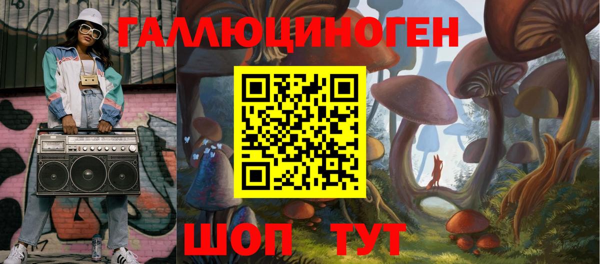 Ахтубинск  Псилоцибиновые грибы мухоморы  Вход с VPN 