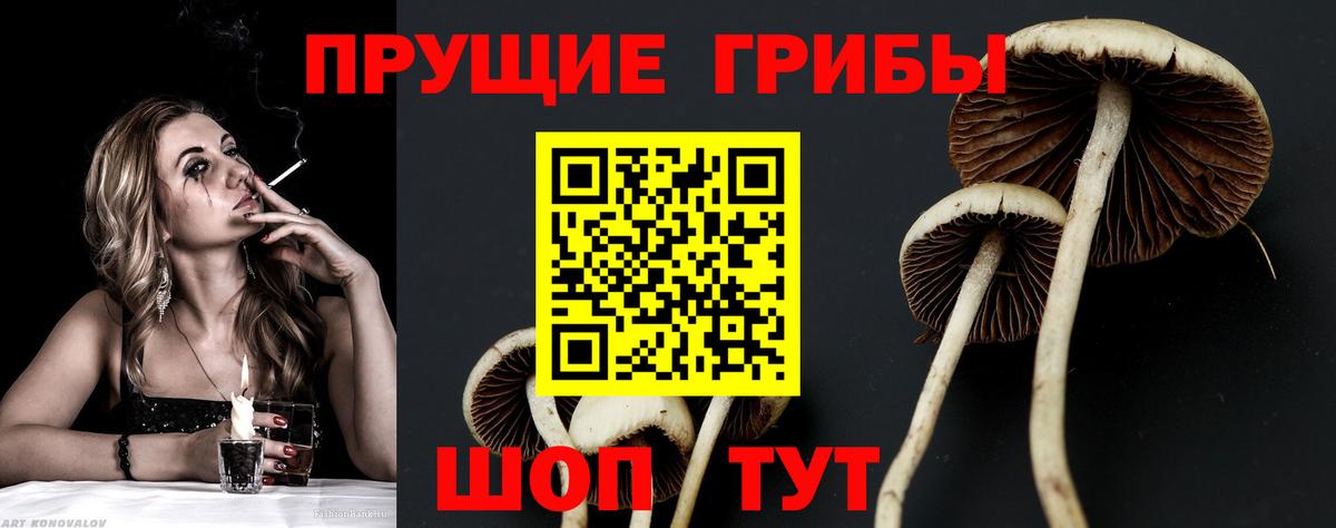 Галлюциногенные грибы ЛСД Ахтубинск